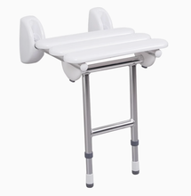 將圖片載入圖庫檢視器 RIDDER Pro 可摺式沖涼椅