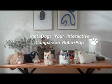 將影片載入圖庫檢視器並播放,AI 陪伴機械狗 - Husky