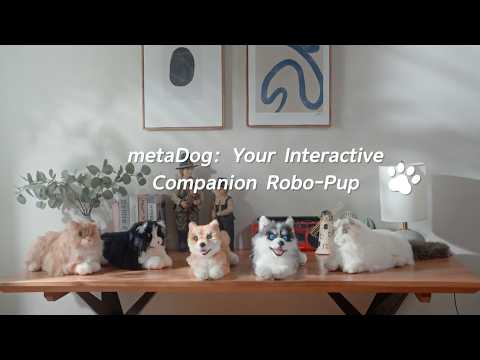 AI 陪伴機械狗 - Husky