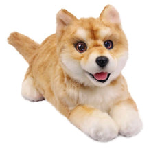 將圖片載入圖庫檢視器 AI 陪伴機械狗 - Shiba  | 樂齡科技 | 認知障礙症陪伴 | HOHOLIFE好好生活
